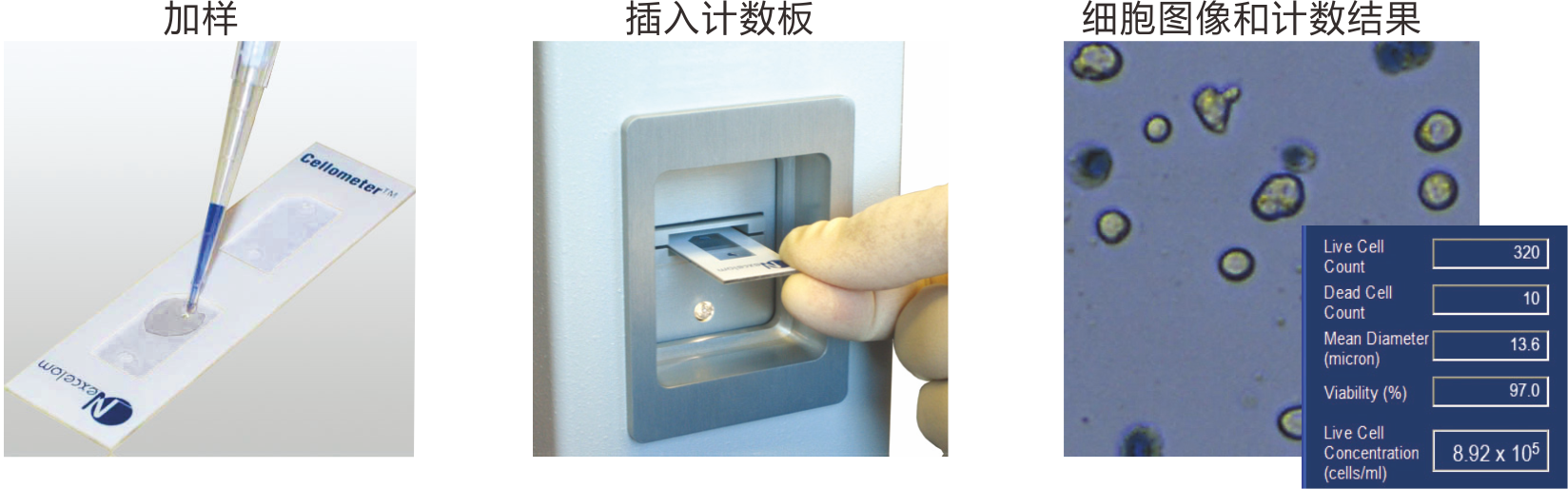 AUTO T4 caozuo.png AUTO T4 caozuo.png